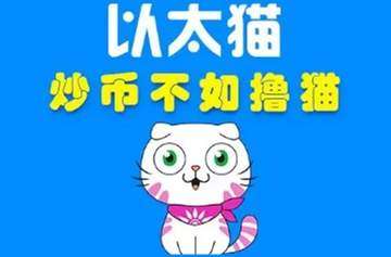 以太猫最新价格动态与广泛市场影响力分析