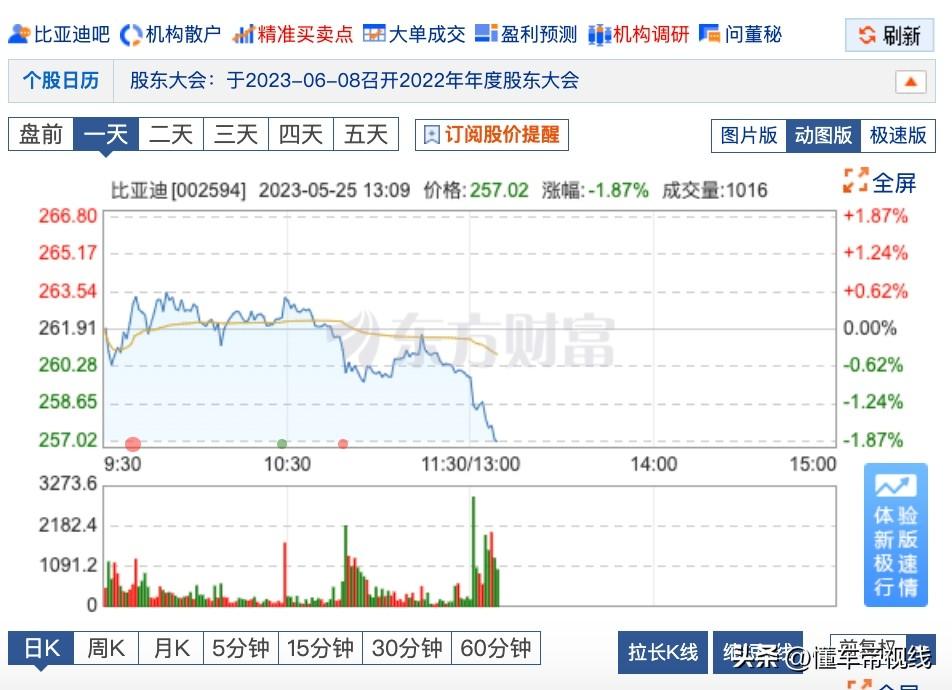 比亚迪股票最新信息深度解读与分析