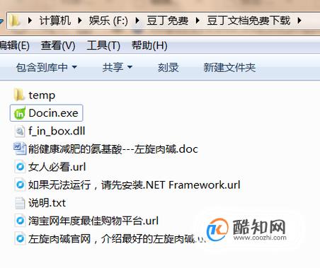 豆丁免費(fèi)下載器的探索與應(yīng)用指南