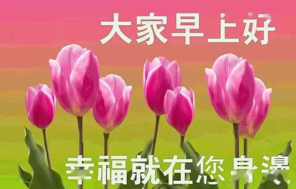 最新早上好祝福與問(wèn)候，愿你一天好心情