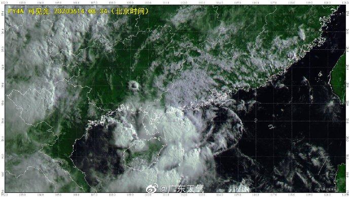 鸚鵡臺風最新路徑動態(tài)，影響及應對指南