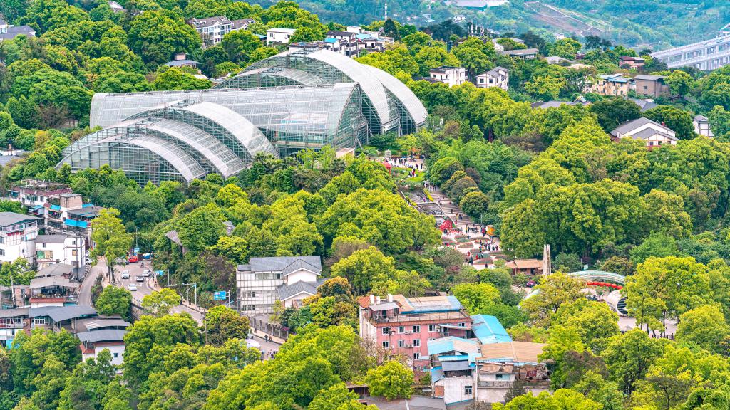 重慶南山植物園深度探訪之旅