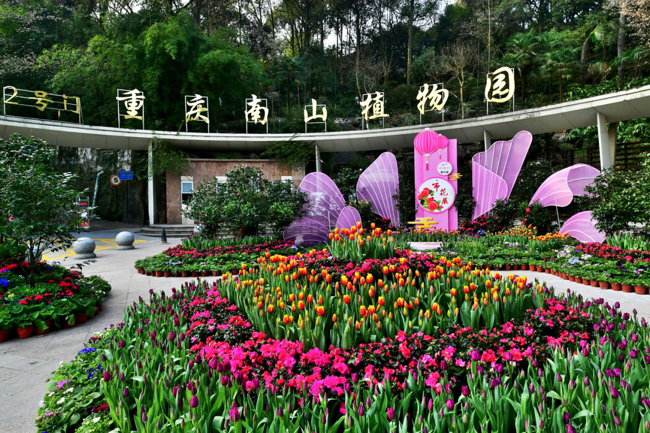 重慶南山植物園深度探訪之旅