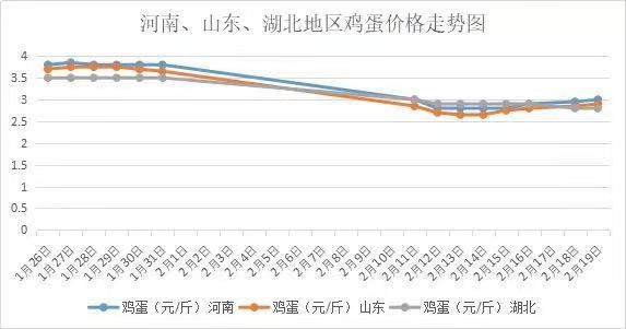 西安雞蛋價(jià)格最新動(dòng)態(tài)，市場(chǎng)分析與未來(lái)預(yù)測(cè)