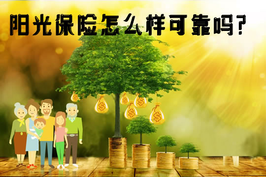 陽(yáng)光在線的可靠性分析