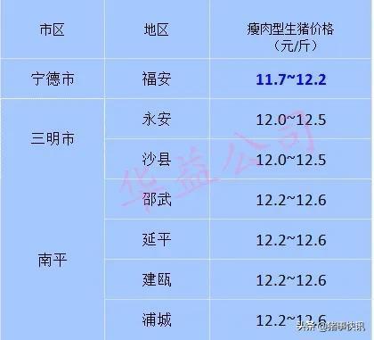 福建豬肉今日最新價格及市場走勢與影響因素解析