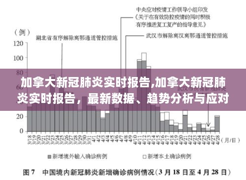 新冠肺炎疫情最新進展，全球動態(tài)及應(yīng)對策略