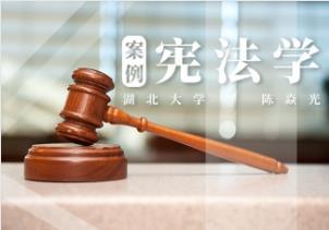 最新憲法案例深度解析，背景、過程與啟示探究