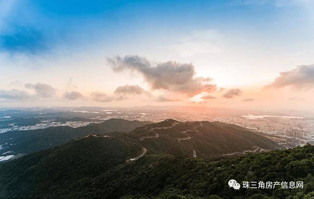 搜索島神秘探索，最新地址揭秘之旅