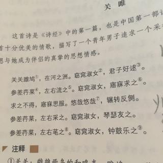 命運交織的旋律，顧顯關雎最新章節(jié)