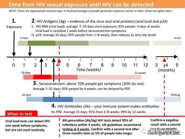 HIV最新窗口期的理解與探索研究