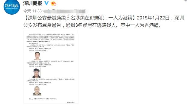 深圳逃犯最新消息全面解讀