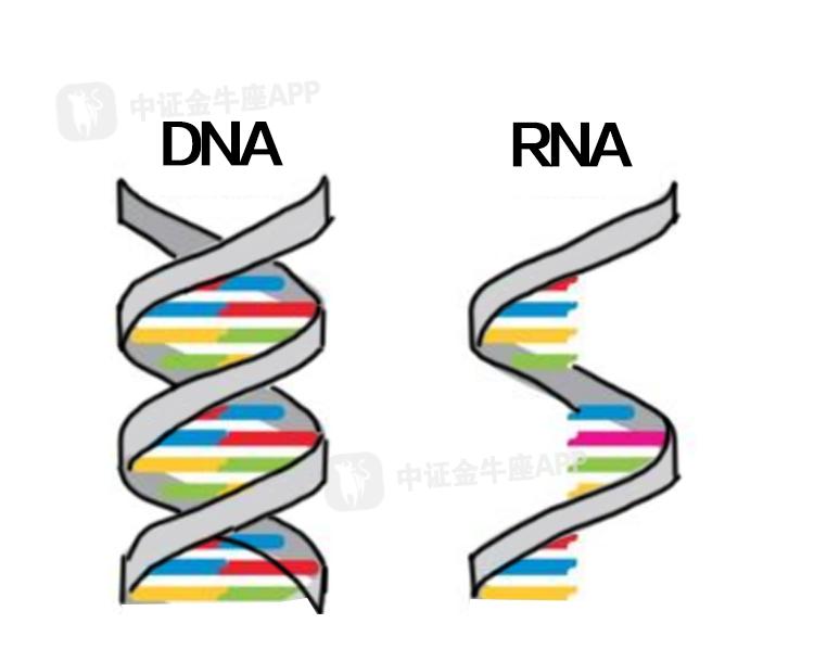 全球乙肝研究、預(yù)防與治療最新進(jìn)展速遞