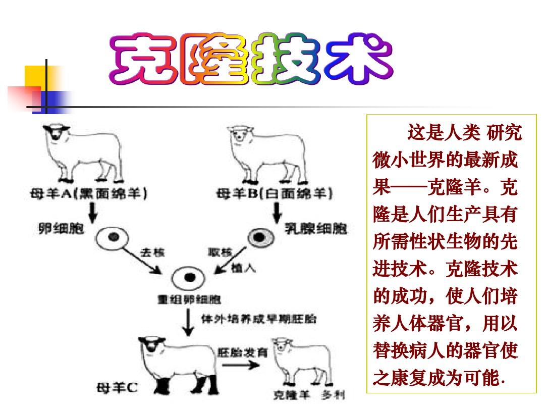 克隆技術(shù)最新進(jìn)展概述