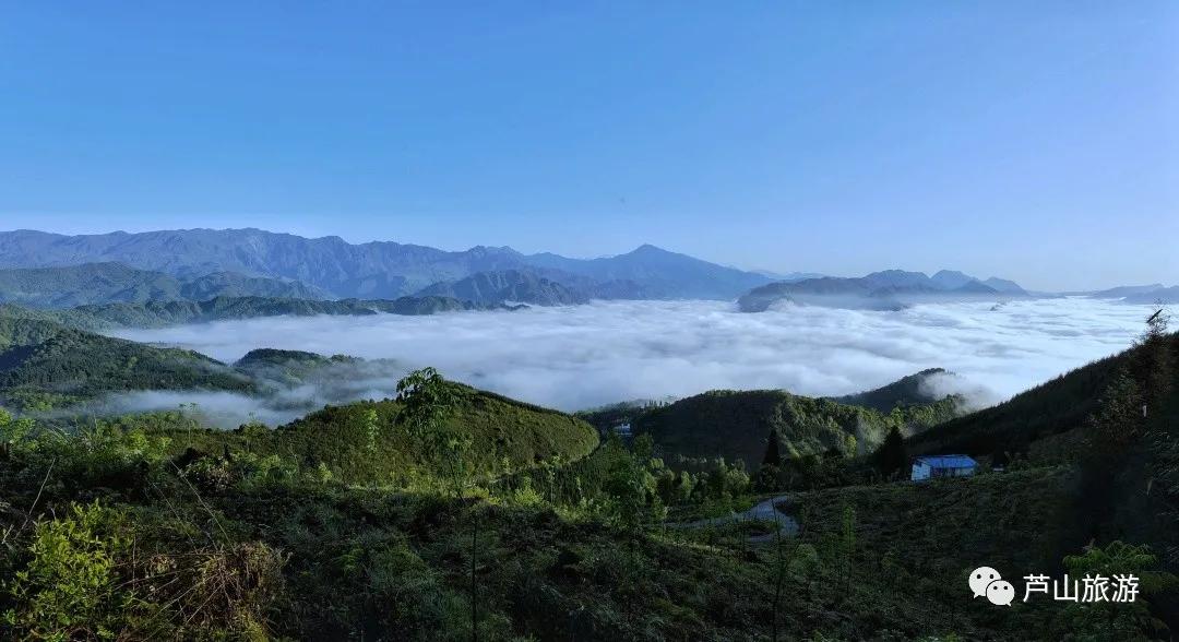 太平微課堂最新版，探索知識(shí)的新領(lǐng)域之旅