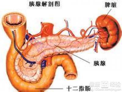 急性胰腺炎最新研究進展綜述