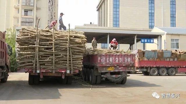 泰興交通事故最新情況報告概覽