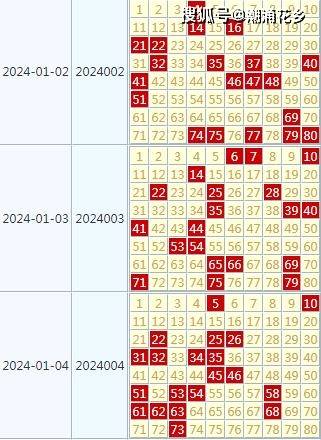 2024正版天天免费开奖彩，详尽数据解读及网页版SNV492.68攻略