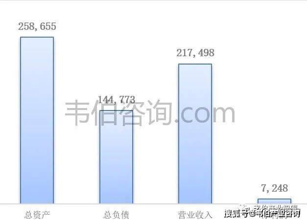 怀旧版CFL723.29：新澳资彩免费资料深度解析，综合判断解答