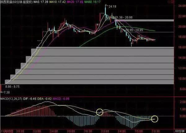 2024年全新澳州资料免费分享：深度解析指南_RON92.69探索版