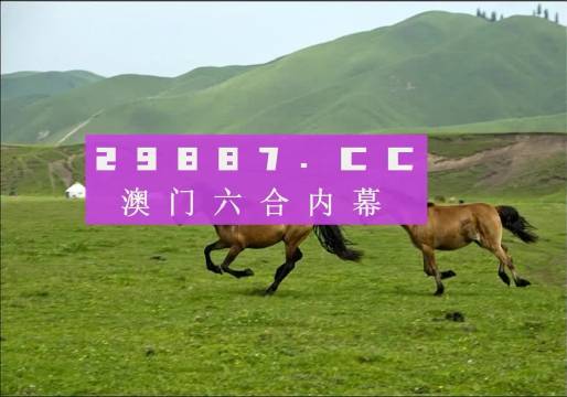 澳门跑狗,快速设计问题策略_X版50.799