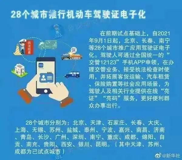 2024年全年资料免费大全,最佳实践策略实施_苹果款28.389