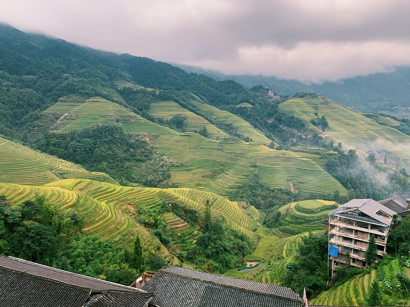 龙脊梯田最新美景，自然与人文的交融盛景