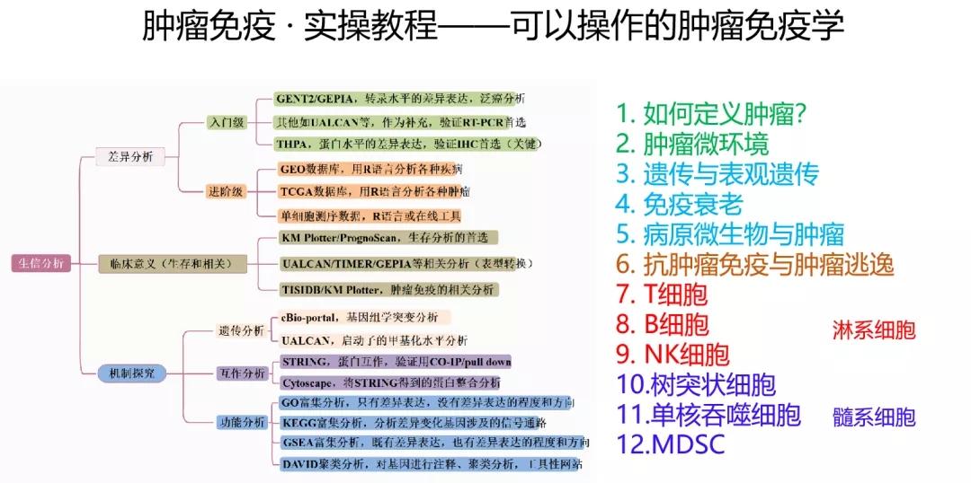 2024年正版资料免费大全一肖,最新核心解答落实_N版38.93.75